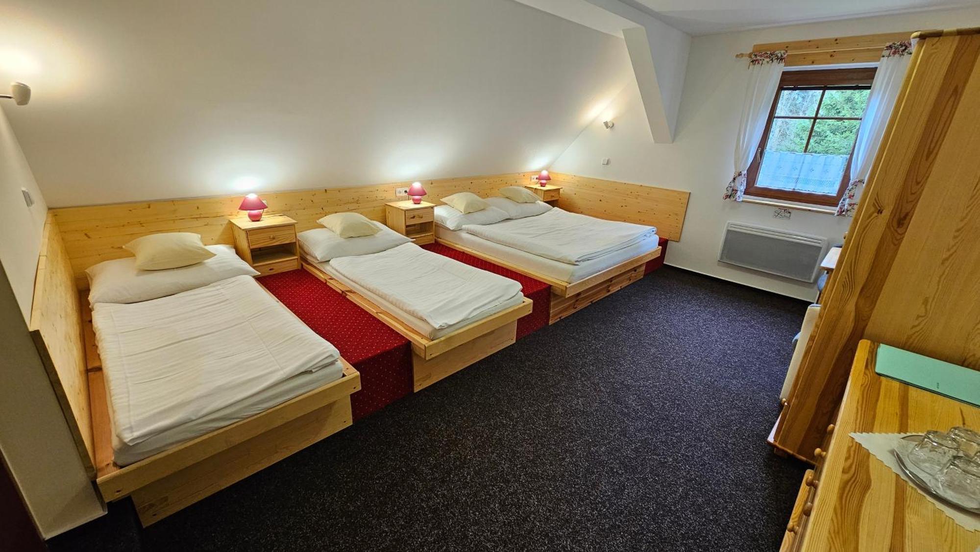 Penzion Ctyrlistek Teplice nad Metují 外观 照片